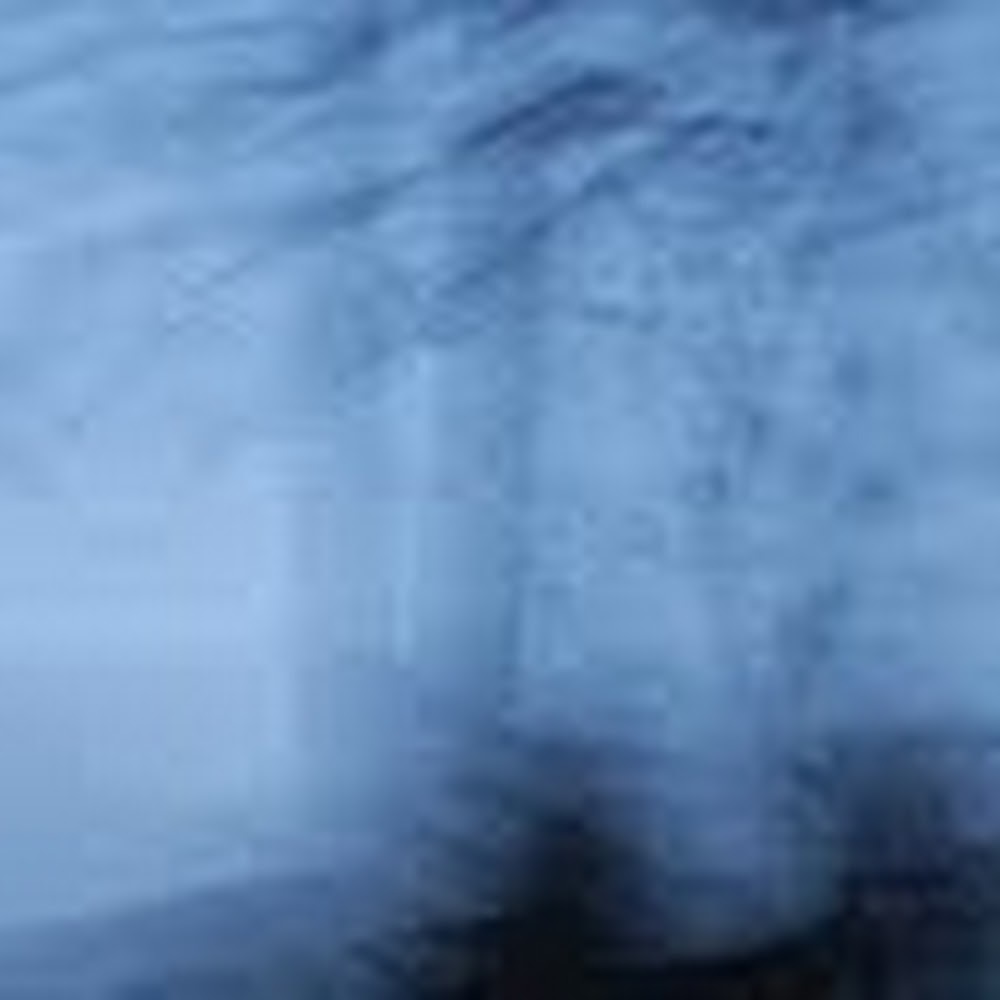 Meet your Posher, Carlyn